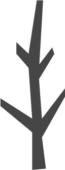 树杈素材