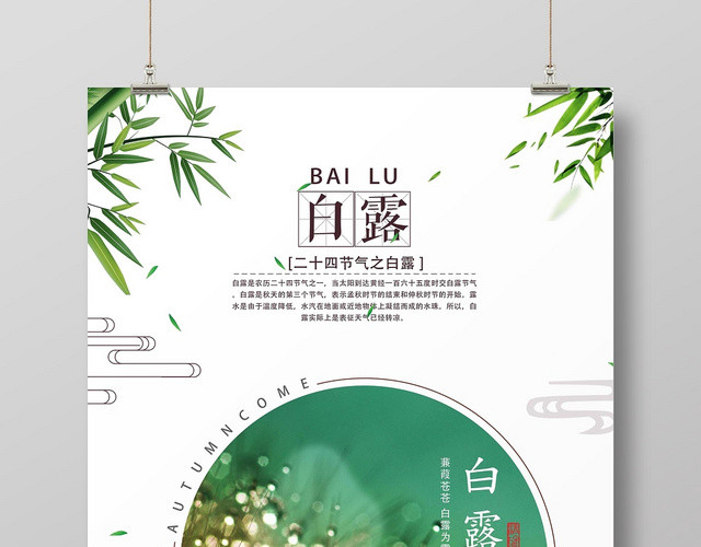 淡雅清新二十四节气白露宣传海报