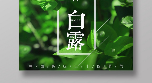 绿色简约大气二十四节气白露宣传海报