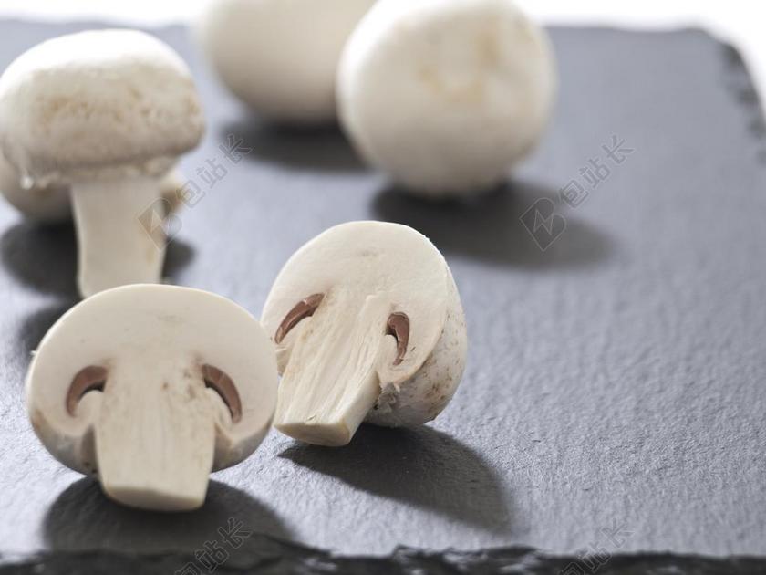 蘑菇 草地 美味 健康 白 弗里施 性质 秋季 孢子温室