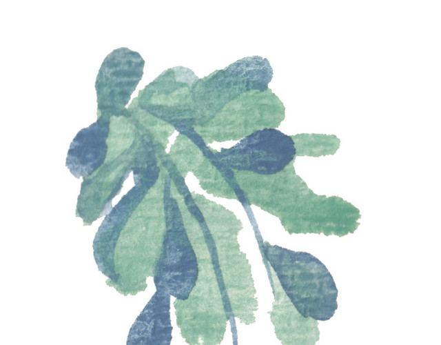 手绘叶子矢量素材