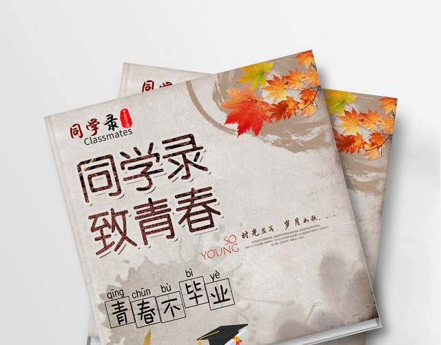 毕业纪念册风格同学录致青春再见那些年青春不毕业画册