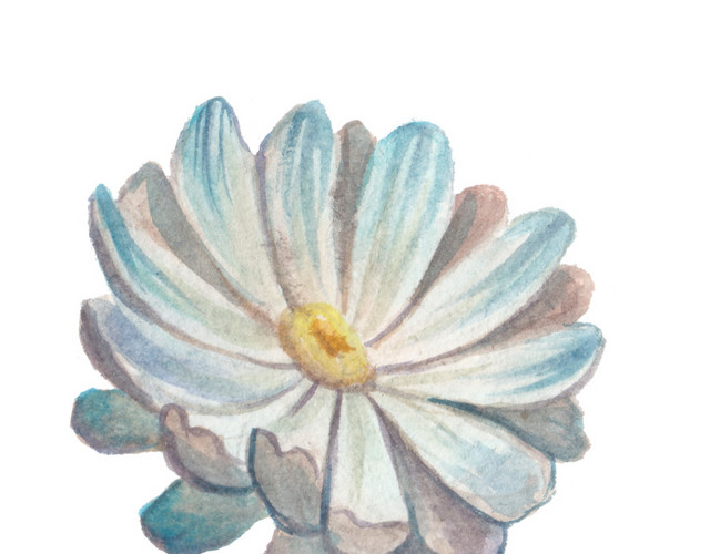 手绘小花矢量素材