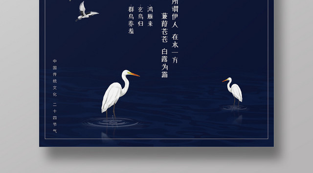 中国传统节日二十四节气之白露夜景宣传海报