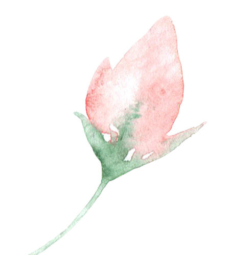 粉色花苞矢量素材