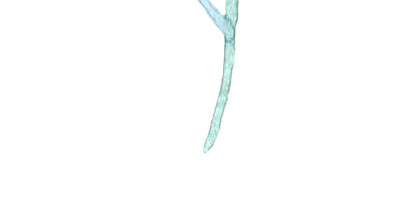 水彩叶子免抠素材