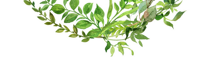 清新草叶艺术装饰图框