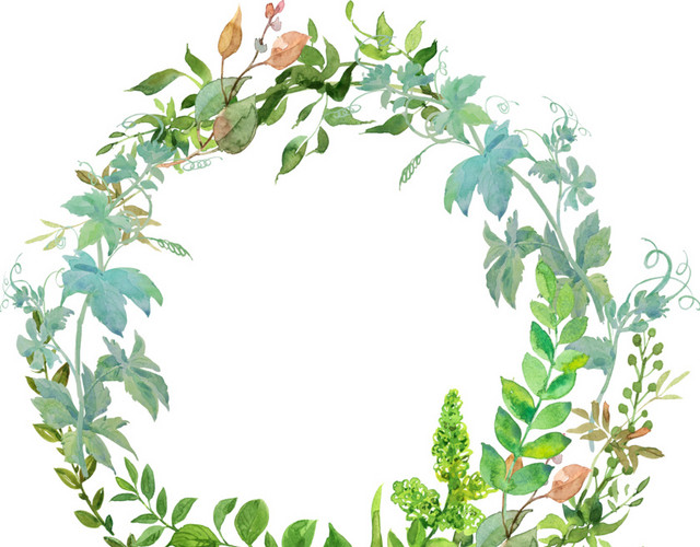 免抠图花草元素圆形图框素材