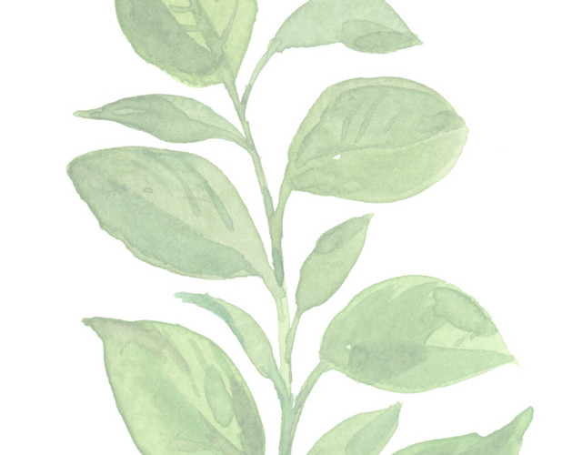 卡通水彩叶子北欧装饰插画设计