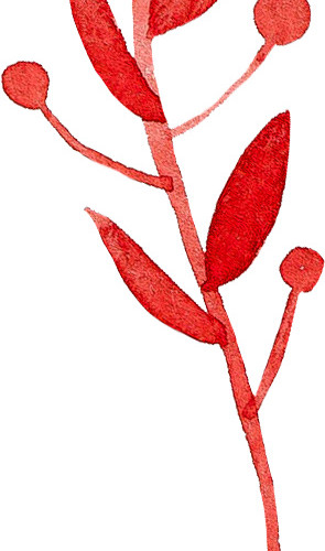 红色手绘植株素材