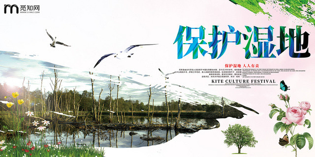 爱护生态自然飞鸟树木水面花朵环境保护湿地展板