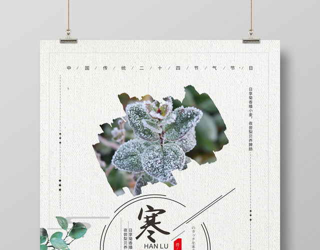 米白色背景二十四节气寒露海报