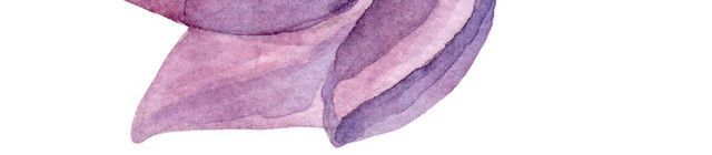 矢量水仙花素材