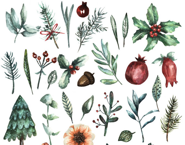 彩色植物水彩插画背景素材