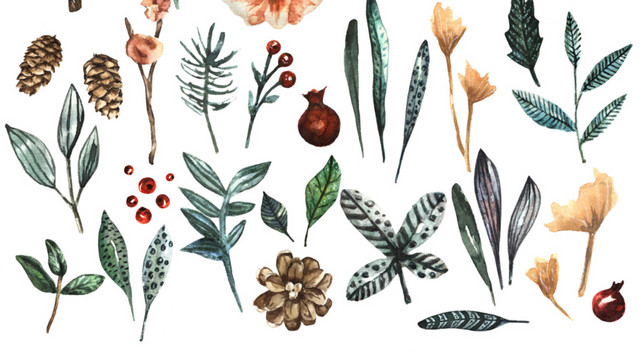 彩色植物水彩插画背景素材