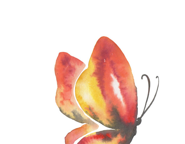 彩色手绘卡通蝴蝶水彩插画