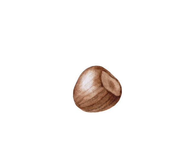 绿色小清新可可豆水彩插画