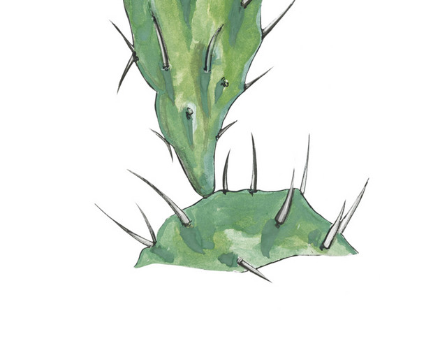 绿色小清新开花仙人掌水彩插画