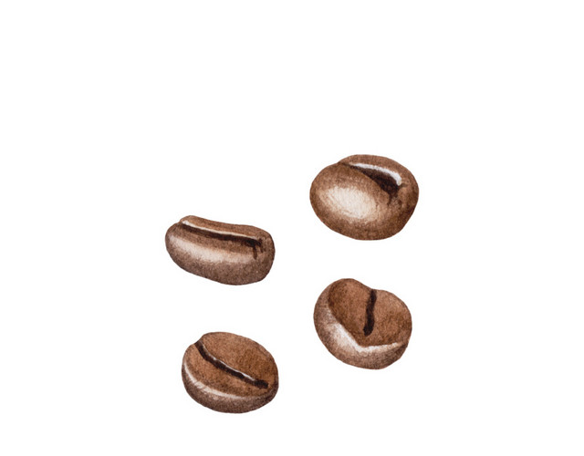 绿色小清新可可豆水彩插画