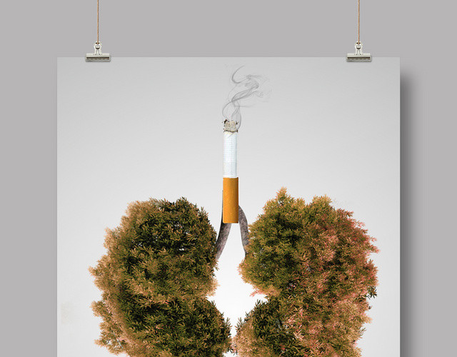 灰色大气关注肺健康活动宣传健康海报