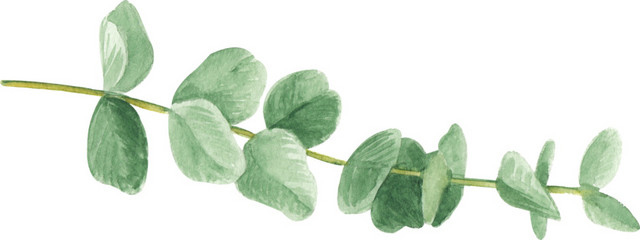 绿色植物水彩矢量元素