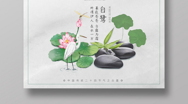 中国传统节日二十四节气之白露荷塘宣传海报