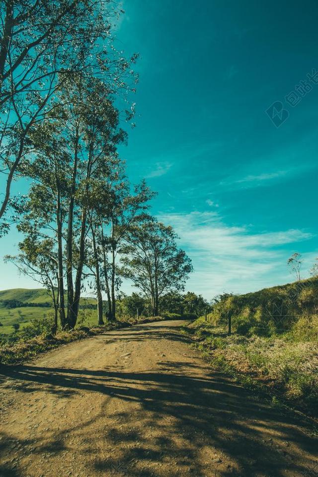 树 景观 户外 天空 森林 自然 田园风光 农村 景区 草