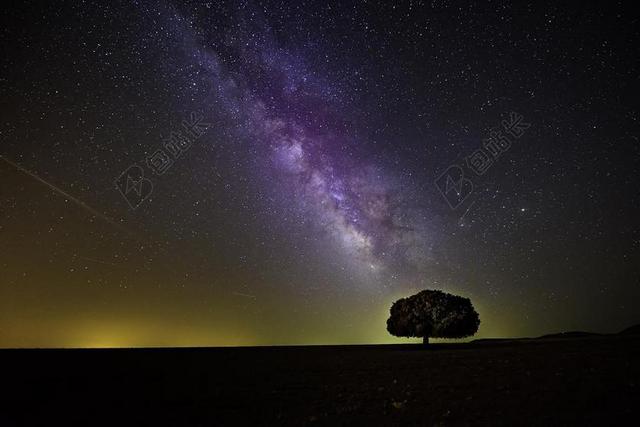 宇宙 黑暗 高清壁纸 银河 夜 侧影 天空 树