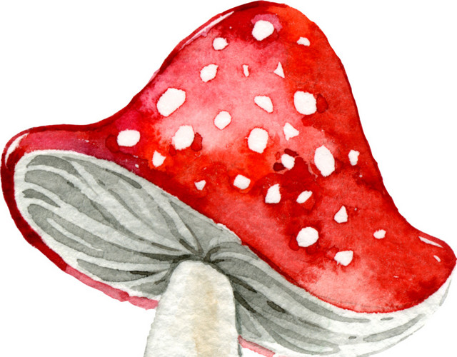 蘑菇水彩矢量元素下载