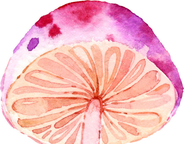 蘑菇水彩矢量元素下载