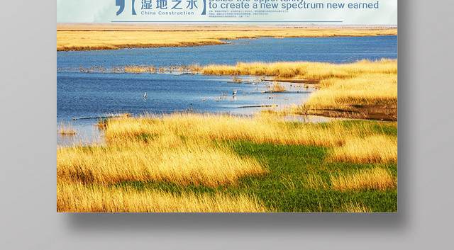 简约时尚保护湿地世界湿地日宣传海报设计