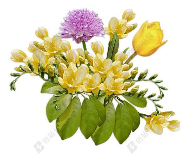 唯美绿色的鲜花花束背景图片