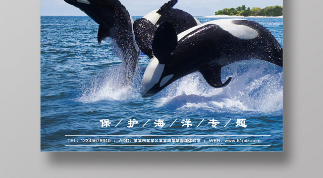 大气蓝色保护海洋海报