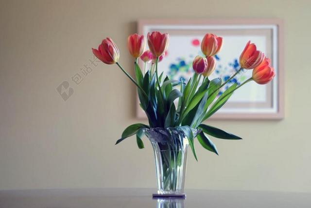 花瓶 鲜花 花束 安排 束 花的 装修 表