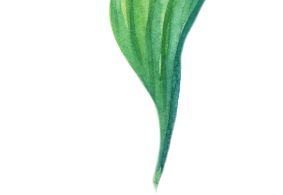 手绘清新绿色植物叶子矢量素材