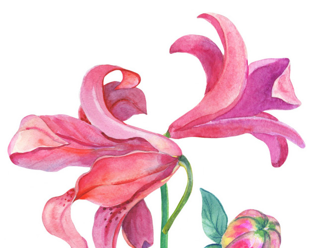 水彩手绘百合花枝矢量设计素材