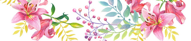手绘百合花植物叶子组合花环边框设计素材
