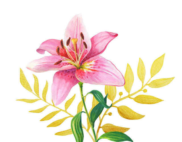手绘小清新百合花矢量素材