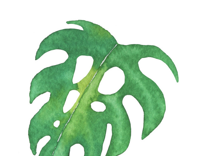手绘水彩北欧风植物叶子设计素材