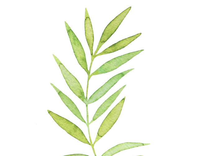 水彩手绘淡绿色植物叶子矢量素材