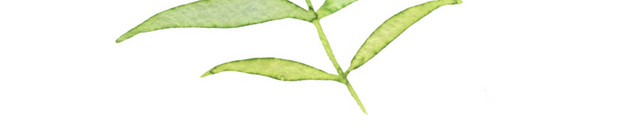 水彩手绘淡绿色植物叶子矢量素材