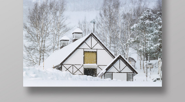 二十四节气小雪插画宣传海报
