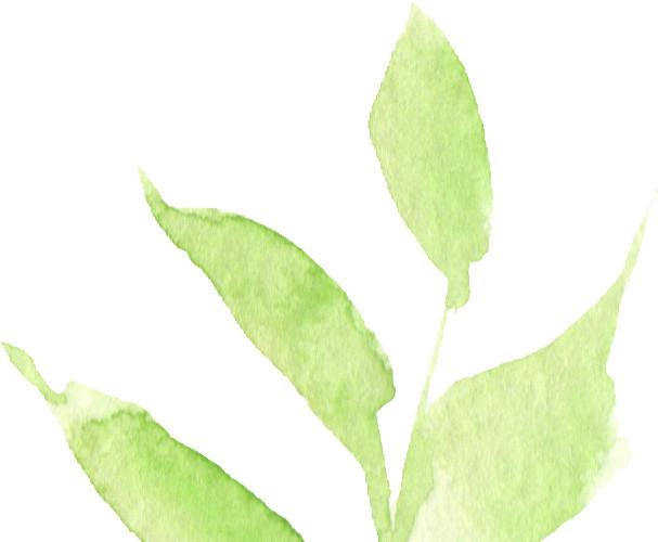 手绘水彩淡绿色渐变晕染植物叶子矢量素材