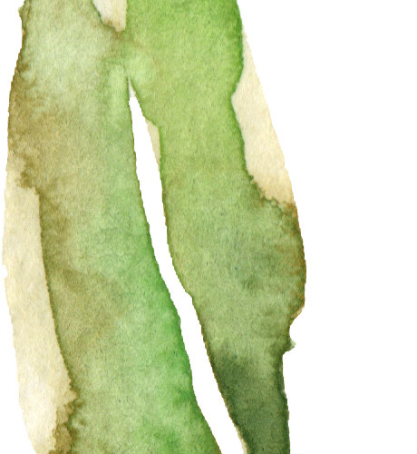 水彩画