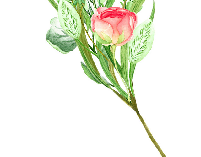 绿叶红花