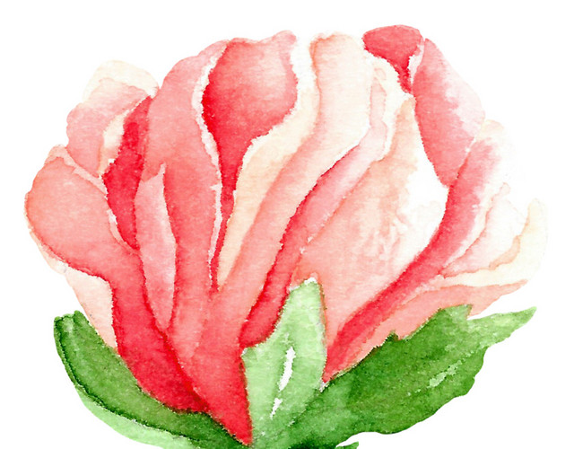 水彩鲜花