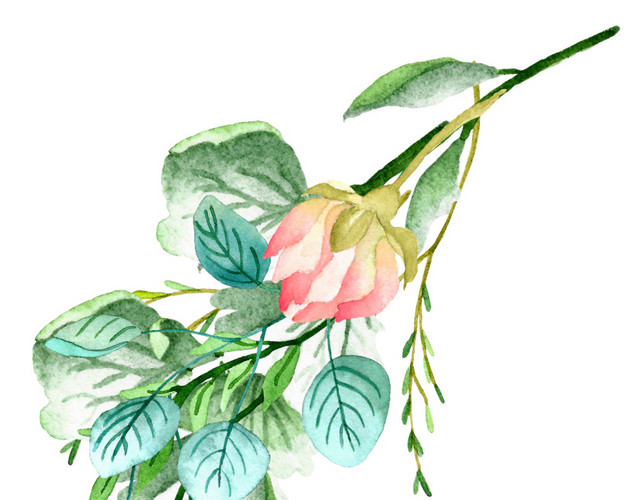 绿叶红花
