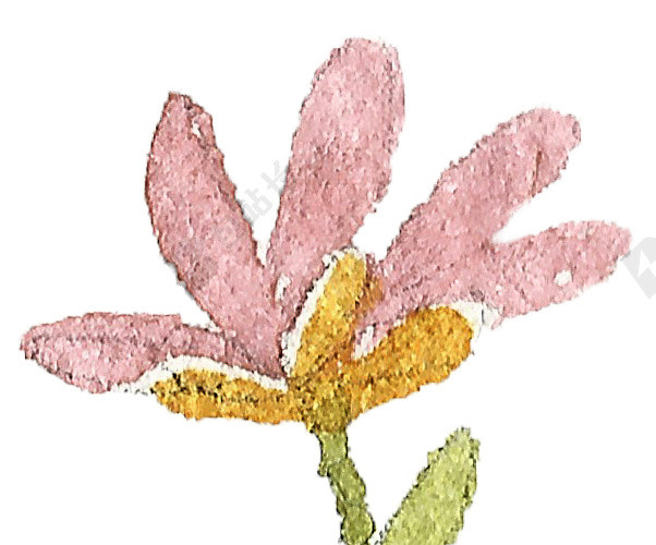 粉色小花水彩背景素材