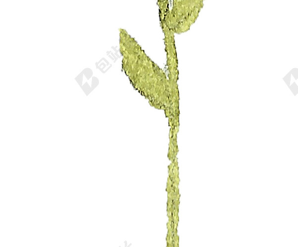 粉色小花水彩背景素材