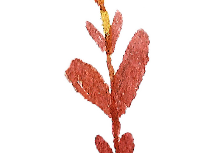 小花叶子水彩背景素材